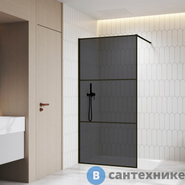 картинка Перегородка для душа RGW WA-09-B  100*200 чёрный/ тонированное (серое) (06100910-34)