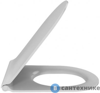 картинка Сиденье Jacob Delafon E23280-00 RODIN+ термодюропласт, тонкое, микролифт