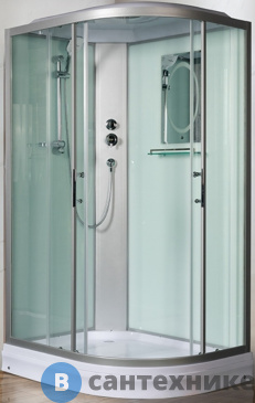 картинка Душевая кабина WELTWASSER WERRA 1202 L