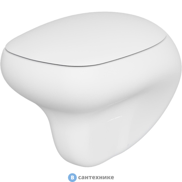 Унитаз подвесной Diamond 123T20101R (530*405*375) матовый белый, безободковый, без сиденья