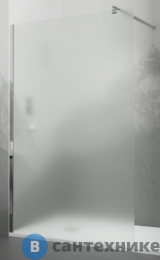 картинка Перегородка для душа RGW WA-02 хром/Cora/6 мм 100*195 (411002110-41)