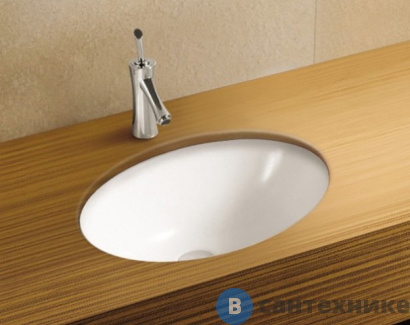 картинка Раковина WELTWASSER DEILBACH 6005 подвесная (510х390х200)