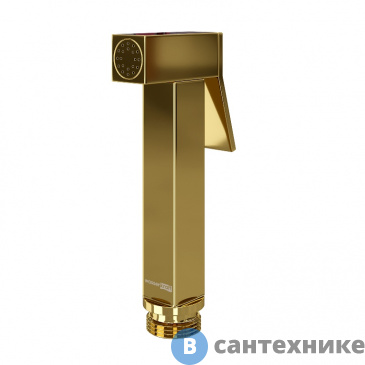 картинка Гигиеническая лейка WasserKRAFT A216 с фиксатором