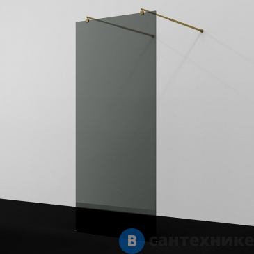 картинка Душевая перегородка WasserKRAFT Vechte 60W39BG-TG 900х2000