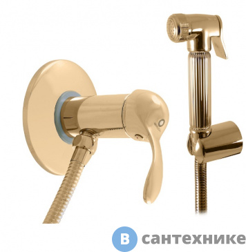 картинка Смеситель Slezak RAV LABE L047/1Z для биде скрытого монтажа с лейкой метал., золото