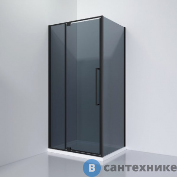 картинка Душевое ограждение Black&White S818 BG (1000х800х1950), без поддона