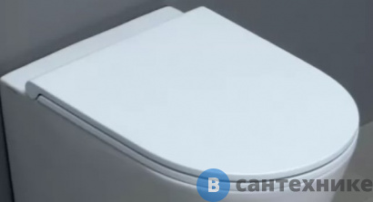 картинка Сиденье AZZURRA FORMA для унитаза быстросъемное с микролифтом, белый, петли хром (FOR1800/F bi/cr)