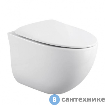 картинка Унитаз подвесной Black&White W-751 Rimless / UF seat cover / Fixing screw (530x375x380)