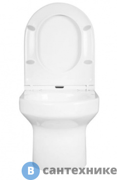 картинка Унитаз Jacob Delafon ELITE EDX114RU-00 подвесной, с тонким сиденьем